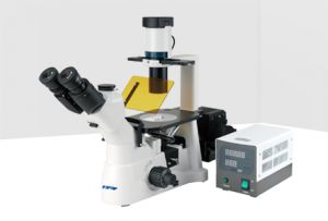 XD30倒置荧光显微镜